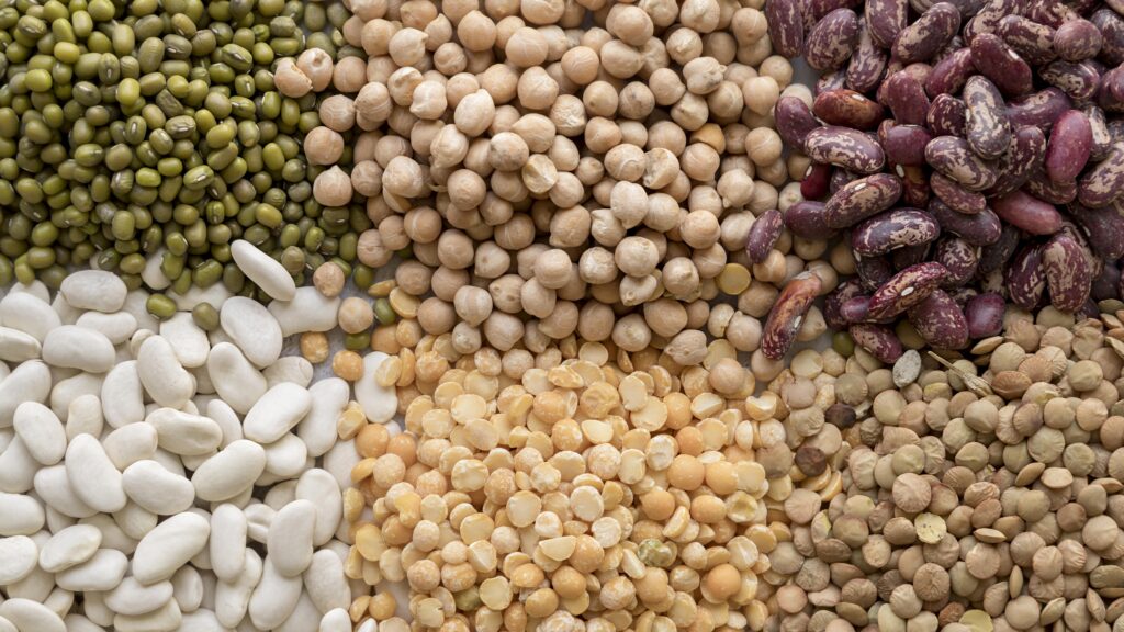 Legumbres: El Tesoro Nutricional que Transformará Tu Salud